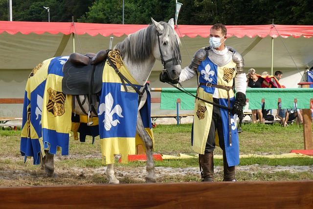 了出色的团 了出色的团