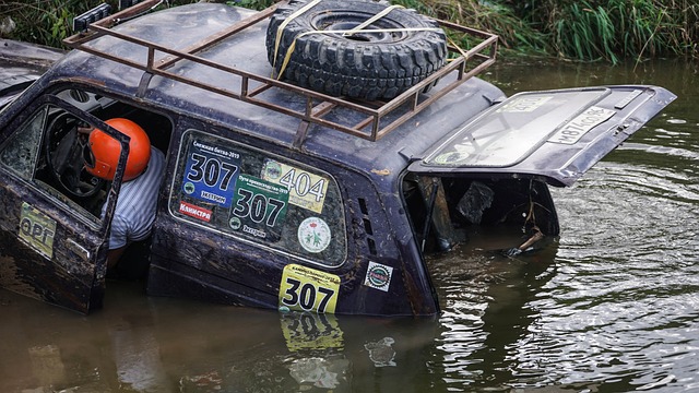 弃的态度影 弃的态度影