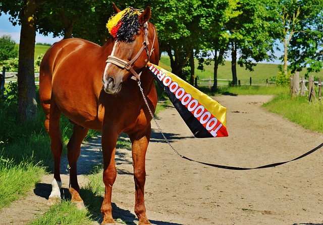 斯堡的首次 斯堡的首次