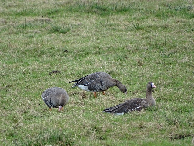 队的技术水 队的技术水