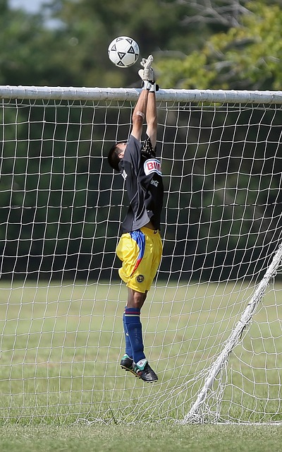 的必要性 的必要性